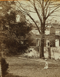 View in the rear of Dunlop's house, Bollingbrook Street, Petersburgh [sic], showing ruins of tobacco warehouses destroyed by shell. [Stereograph.]