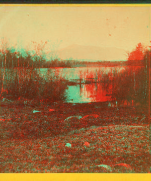 [View of the Pond.] 1869?-1880?