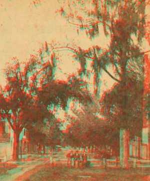 Abercorn Street, Savannah, Ga. ca. 1870 1867?-1900?