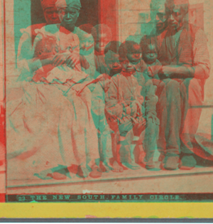 The New South family circle. [Family group on a porch.] 1868?-1900?