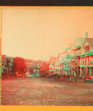 Main Street, West Randolph, Vt. 1865?-1885?