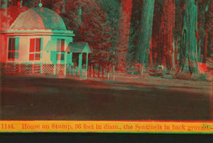 House on Stump, 36 feet in diam., the Sentinels backgorund - Calaveras Co. ca. 1870 1870