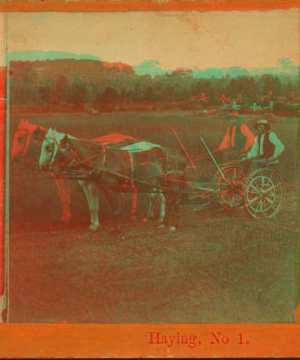 Haying, Mo. 1 1870?-1880?