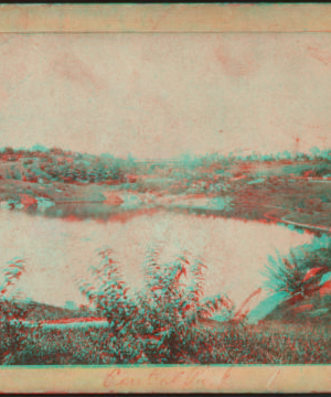 The Pond. 1863, 1865