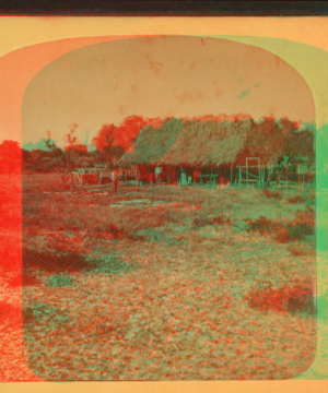 Mexican hut near the Pinto River, Texas. 1865?-1915?