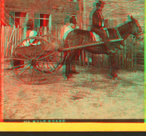 Mule cart. 1870?-1885? 1870-1885?