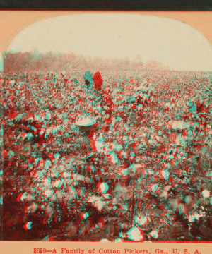 Family of cotton pickers, Ga. 1867?-1905? 1898