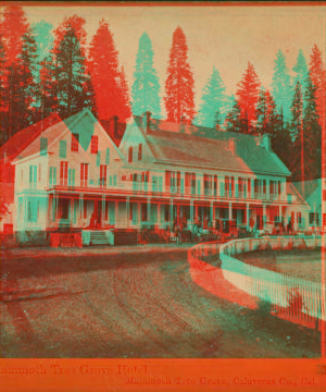 Mammoth Tree Grove Hotel, Mammoth Grove, Calaveras Co., Cal. 1867-1874 1867?-1874?