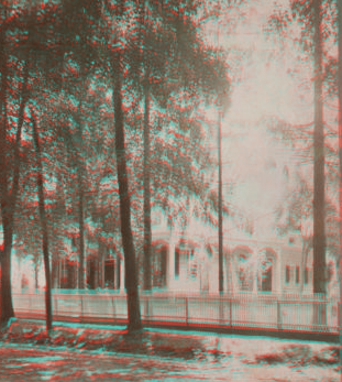 [View of trees and house.] [1865?-1900?]