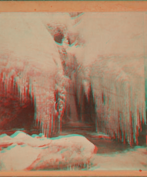 [Ice and snow hanging from trees.] [1860?-1885?]