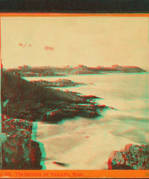 The shores of Nahant, Mass. 1859?-1880?