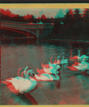 The swans on the lake. 1863, 1865