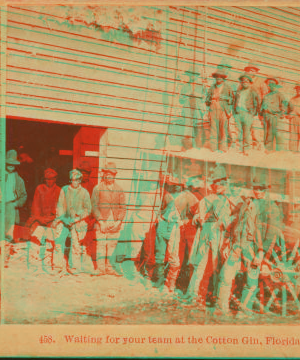 Waiting for your team at the cotton gin, Florida. 1867?-1895?