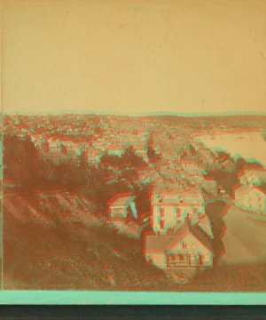 [General view showing homes.] 1865?-1880?