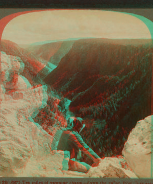 Ten Miles of yawning chasm - down the caÒon from Inspiration Point, Yellowstone Park, U.S.A. 1901, 1903, 1904