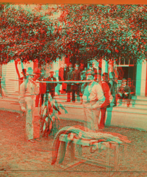 Fishing party, Florida. 1870?-1905?