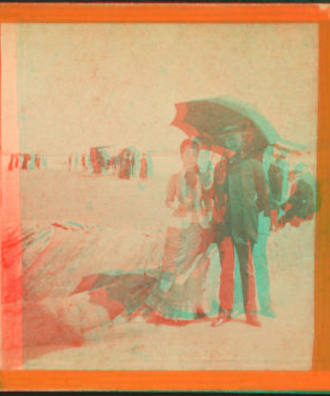 [A couple under the umbrella posing against a background of the beach.] 1869?-1880?