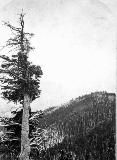 Views among the Rocky Mountains of Colorado. View south from the La Plata Mountains. Colorado. 1874.