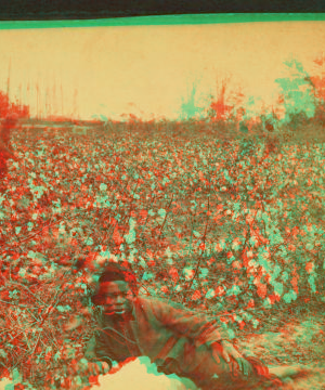 Plantation Scene. Picking cotton. [Woman resting in the field.] 1868?-1900?