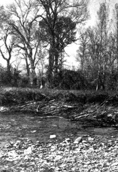 The Great West. Beaver dams on Henry's Fork. This stream was at one time thickly inhabited by beavers,but they have been nearly driven out by the advance of civilization.