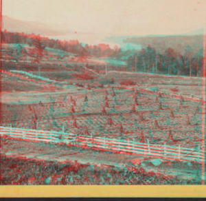 View of Lake George from the south. [1860?-1895?]