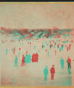 Skating scene, winter, Central Park. [1860?]-1896