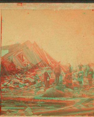 Horse in the midst of ruins. June 1882