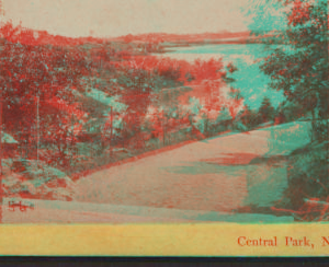 Central Park, N.Y. [1865?-1905?]