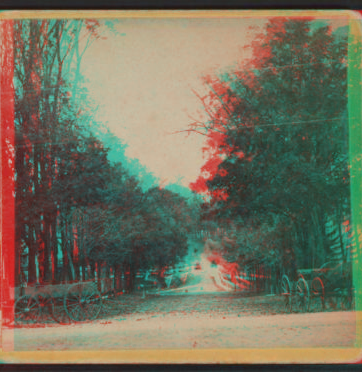 Mill Street, Cazenovia, N.Y. 1868?-1880?