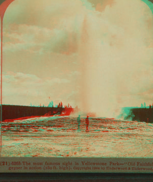 The Most famous site in Yellowstone Park ñ "Old Faithful" Geyser in action (180 ft. high). 1901, 1903, 1904