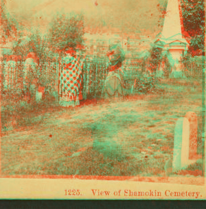 View of Shamokin Cemetery. 1860?-1900?