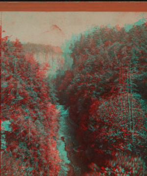 View from the Hog's Back, Upper Taughannock Ravine, top of the main fall in the foreground, Cayuga Lake in the distance. [1865?1880?]