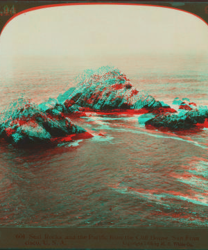 Seal Rocks and the Pacific, from the Cliff House, San Francisco. 1870?-1925? 1905