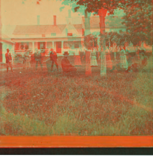 [View of people in front of houses (some sitting under the tree).] 1865?-1885?