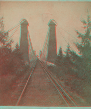 Suspension Bridge, Niagara [top view]. [1859?-1885?]