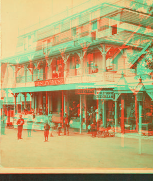 [Wesley House, with sign for ice cream, store with merchandise next door.] 1865?-1880?