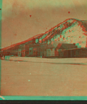 [View of log houses in Rico, Dolores Co.] 1870?-1898