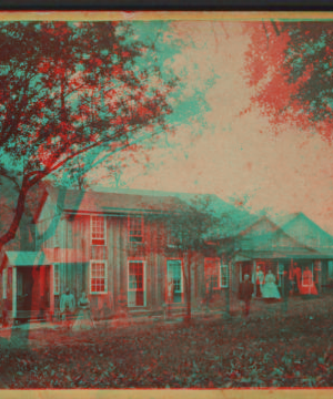 [View of two homes, couples standing out front.] [1860?-1910?]