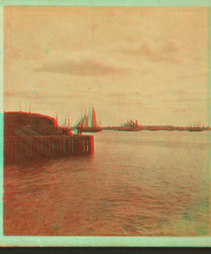 Marine view, Boston Harbor. 1860?-1870?