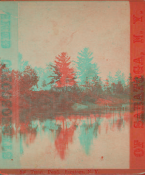 Trout Pond, Saratoga, N.Y. [ca. 1870] [1865?-1880?]