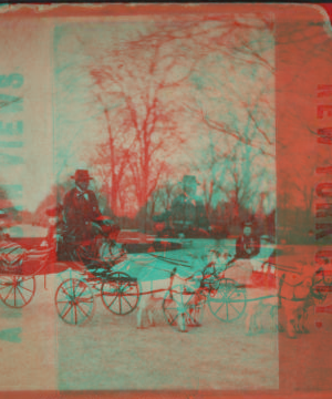 Children's carriage, Central Park. [1860?-1905?]