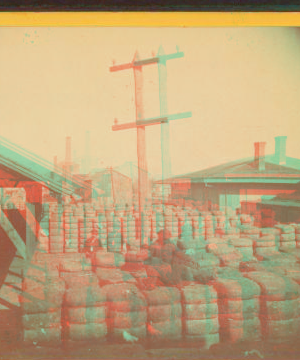 Cotton Depot [showing cotton bales in a yard]. 1865?-1903