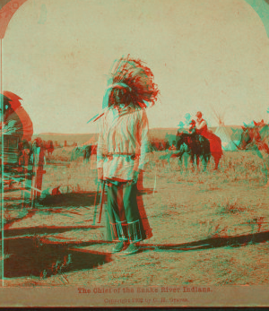 The Chief of the Snake River Indians. 1865?-1902 [ca. 1895-ca.1905]