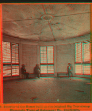 Interior of the House built on the original Big Tree Stump. Mammoth trees of Calaveras Co., California. 1870?-1880?