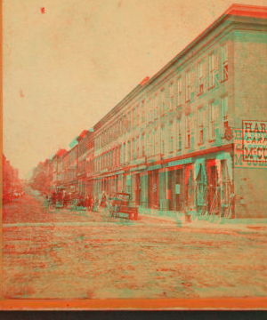 Main Street, Wholesale Block. 1870?-1885? [ca. 1880]