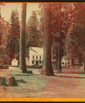 Hotel at Big Trees, - Calaveras Co. ca. 1870 1870