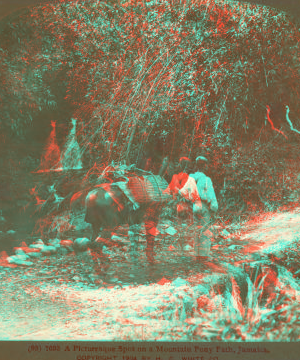 A Picturesque Spot on a Mountain Pony path, Jamaica. 1904