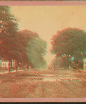 Bull Street, Savannah, Ga. [and Johnson Square] 1867?-1900?