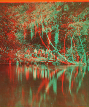 [View of people on the banks of a river.] 1870?-1895?