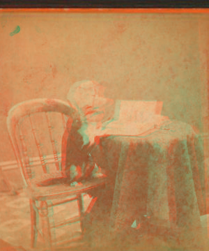 [A cat wearing a mask, and sitting up at a table with a book on it.] 1870?-1885?